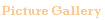 Picture Gallery